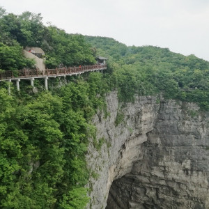 Tianmen 15