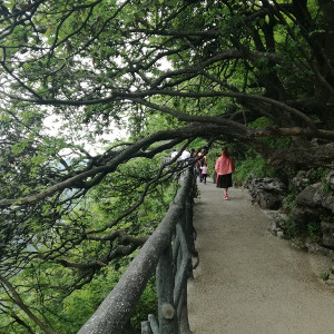 Tianmen 16