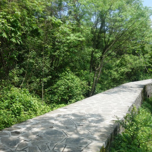Tianmen 26