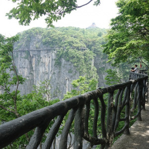 Tianmen 29