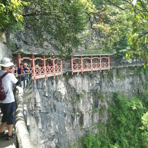 Tianmen 35