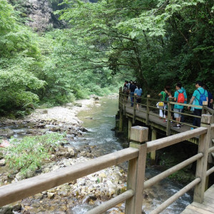 Canyon 19