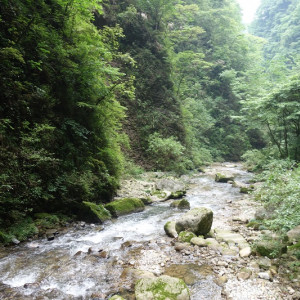 Canyon 20