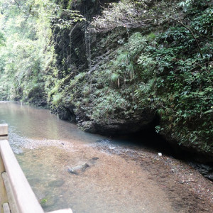 Canyon 22