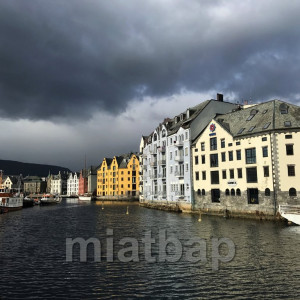 IMG_8020-1
