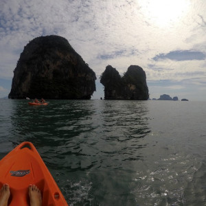 G0881081