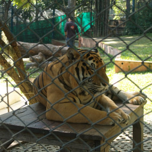 P1017129