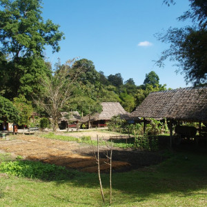 P1017162