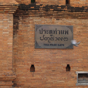 P1017320
