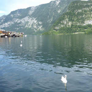 P1040301