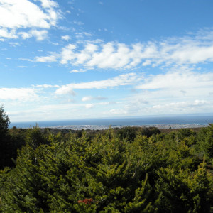 P3060159