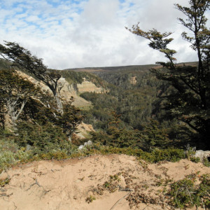 P3060151