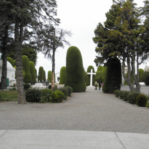 P3050149