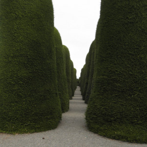 P3050147