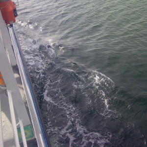 IMG-20120309-00027