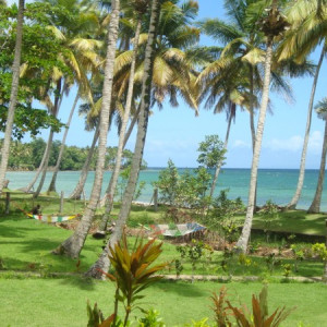 DSC00918