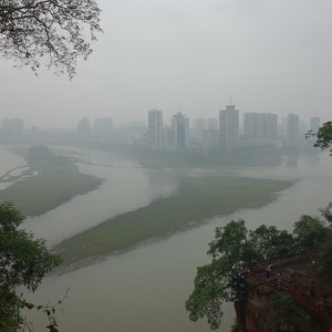 Leshan 8