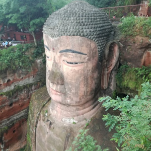 Leshan 9