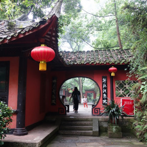 Leshan 19