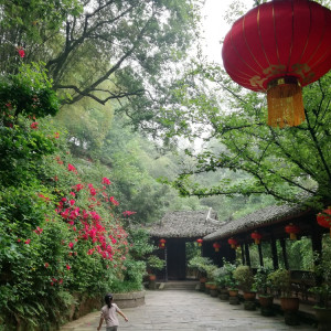 Leshan 20
