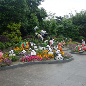 Chengdu 6