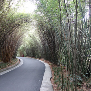 Chengdu 7