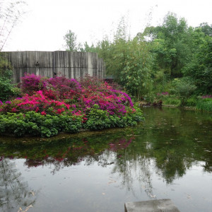 Chengdu 12