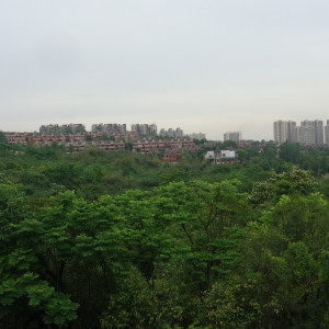 Chengdu 20