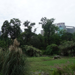 Chengdu 21