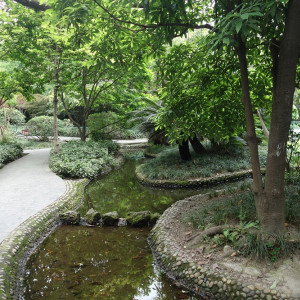 Chengdu 25