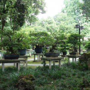 Chengdu 26