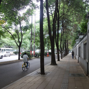 Chengdu 28