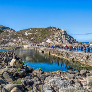 DSC_1463-Editar (Copiar)