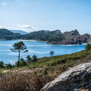 DSC_1512-Editar (Copiar)