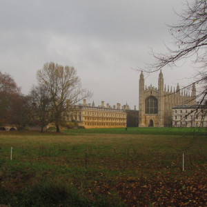 IMG_1881