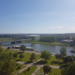 443
