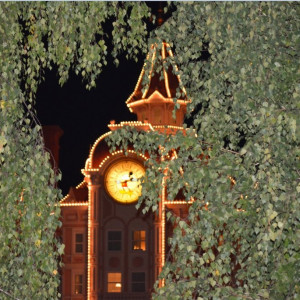 Disneyland Hotel