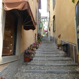 P1030507