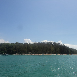 DSC05131