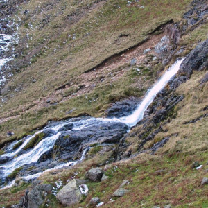 IMG_0593