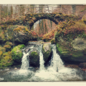 Ponte