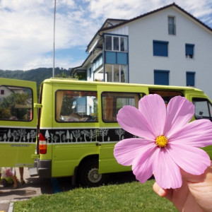 Flower-Power
