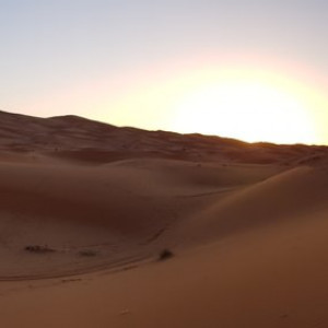 20171101_064204[1]
