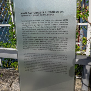 DSCF1816 (Copiar)