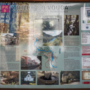 DSCF1818 (Copiar)