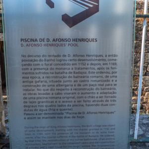 DSCF1864 (Copiar)