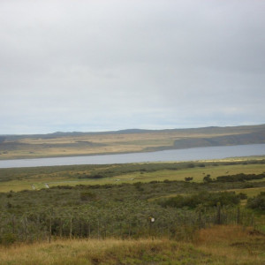 CIMG2491