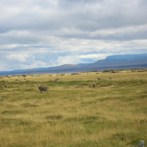 CIMG2535