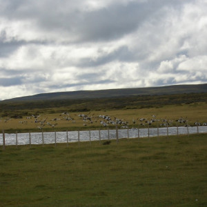 CIMG2537