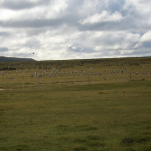 CIMG2539